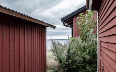 Vinyl Siding vs Fiber Cement Siding Fort Wayne: Which Is the Better Choice for Your Home?