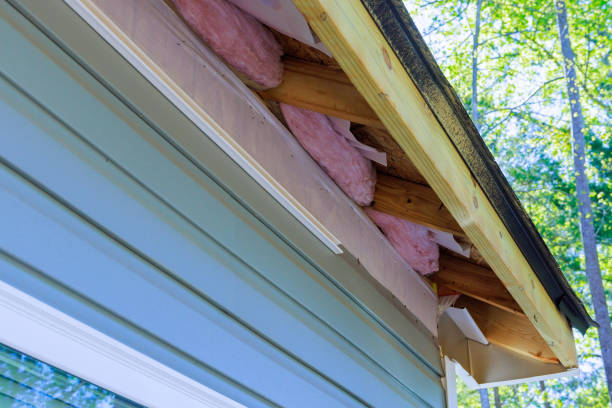 Vinyl Siding Replacement