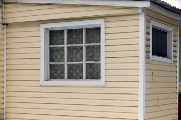 Vinyl Siding