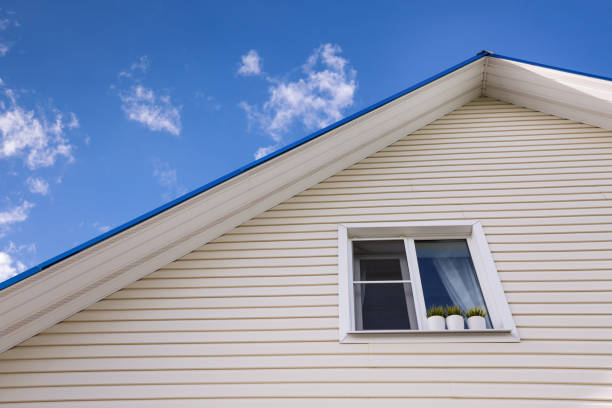 Vinyl Siding